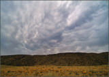 Dragons in the sky..looks like...