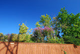 DSC_0083s.jpg