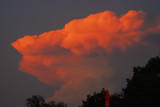 DSC_1106ss.jpg