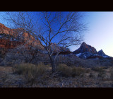 DSC_6404s.jpg