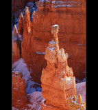 DSC_6636ss.jpg