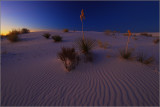 DSC_5293sss.jpg