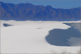 DSC_4565sss.jpg