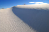 DSC_4587ss.jpg