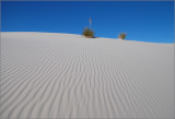 DSC_4661ss.jpg