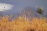 DSC_4718sss.jpg