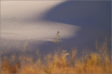 DSC_4719ss.jpg