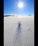 DSC_4738ss.jpg