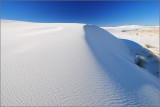 DSC_4747ss.jpg