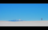 DSC_4924s_ver2.jpg