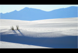 DSC_4944ss.jpg