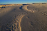 DSC_4955ss.jpg