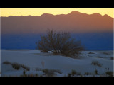 DSC_5142ss.jpg
