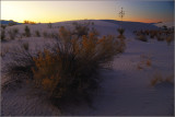 DSC_5273ss.jpg