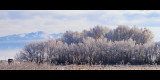 DSC_2134ss.jpg
