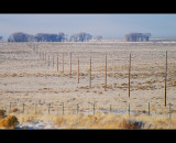 DSC_2007ss.jpg