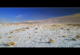 DSC_2060ss.jpg