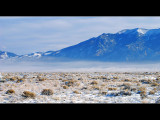 DSC_2114ss.jpg