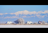 DSC_2124ss.jpg