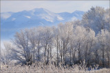DSC_2127ss.jpg