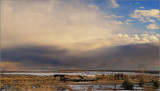 DSC_3694ss.jpg