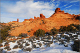 DSC_2964ss.jpg