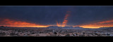 DSC_2450ss.jpg
