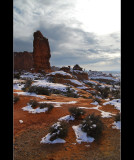 DSC_2925ss.jpg