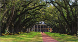 DSC_7725ss.jpg
