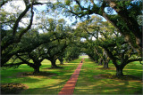 DSC_7863ss.jpg