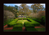 DSC_7868ss.jpg