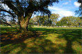 DSC_7981ss.jpg
