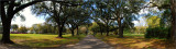 pano7ss_2000.jpg