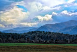 Winter Blues Gallery