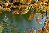 Autumn In Illinois