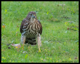 DSC_7648-800.jpg
