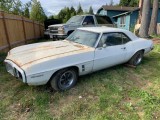 Wayne Westphals 1969 Firebird Sprint