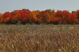 Fall