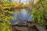 Fall