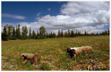 P1020042-ii.jpg