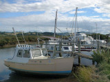 Boats in the mud at Coromandel Town