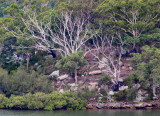 Long view from the opposite shore
