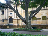 0423: Mitchell Library