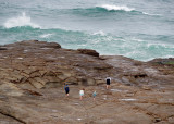 0449: Family on the rocks
