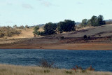 Lake Eucumbene