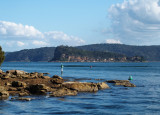 Lion Island from Brisbane Water