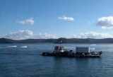 Bar Maid for maintaining the channel into Brisbane Water