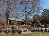 Windyridge Garden at Mount Wilson