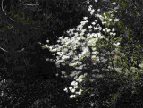 z9011874.JPG