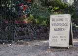 Windyridge Garden at Mount Wilson